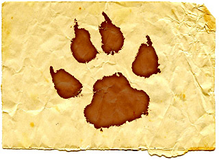 Paw print